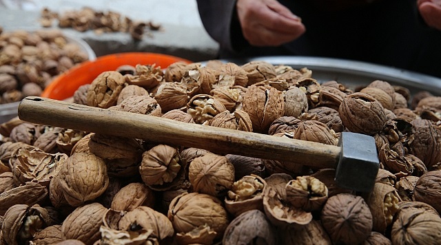 Ceviz ve Türkiye Ekonomisi: Geleceğin Altını